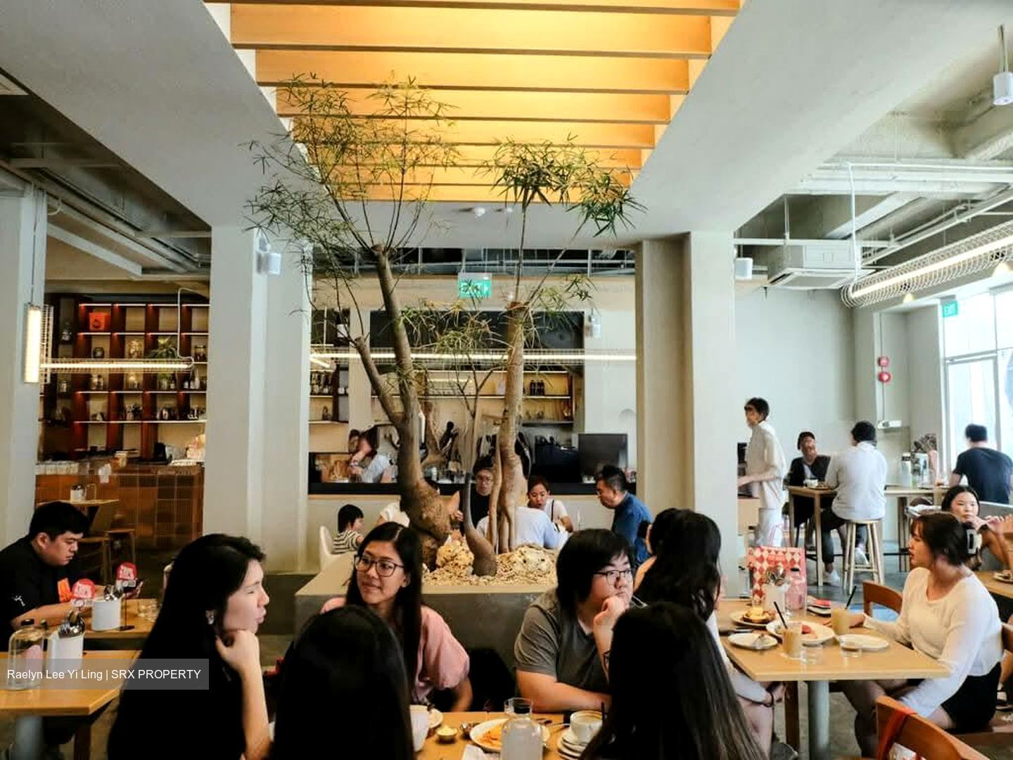 Jalan Besar (D8), Shop House #579699071